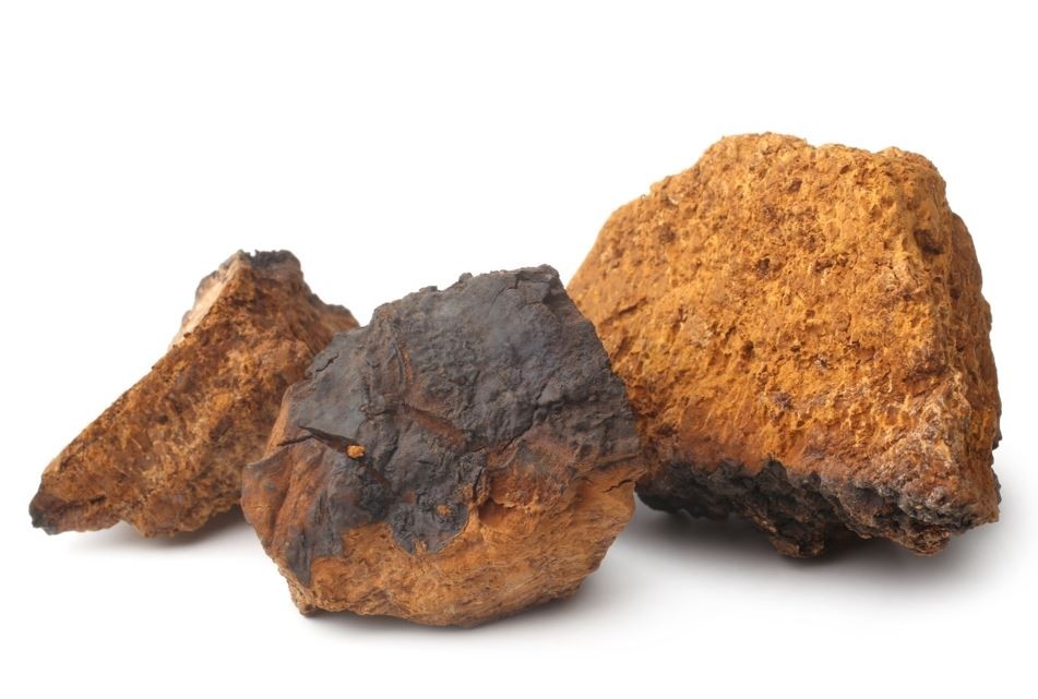 MycoNutri Organic Chaga 60 capsules