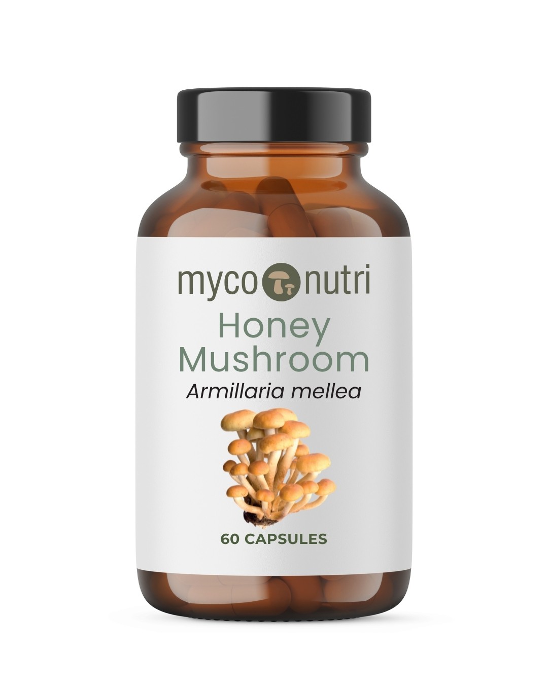 MycoNutri Honey Mushroom 60 capsules