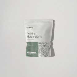 MycoNutri Honey Mushroom 60 capsules