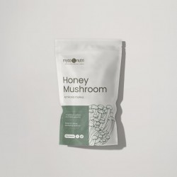 MycoNutri Honey Mushroom powder 100g